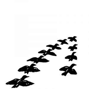 Flokk av fugler fra Gravstein Grossisten